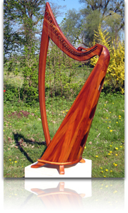 Harfe aus Zwetschgenholz